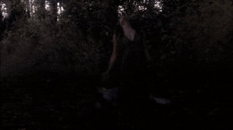 Finsternis vereinigt sich mit Amara.gif