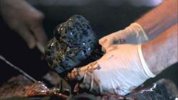 Zombie3.jpg