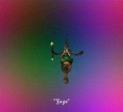 WZ-Yogo 01