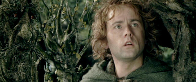 File:Pippin-Took-pippin-took-12389259-960-403.jpg