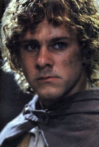 File:Meriadoc-Brandybuck-meriadoc-brandybuck-10916601-407-600 large.jpg