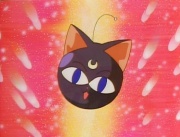 Luna-P.jpg
