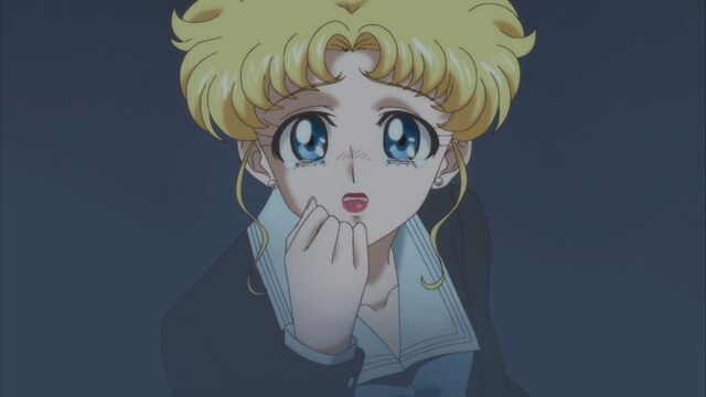 File:Usagi610.jpg