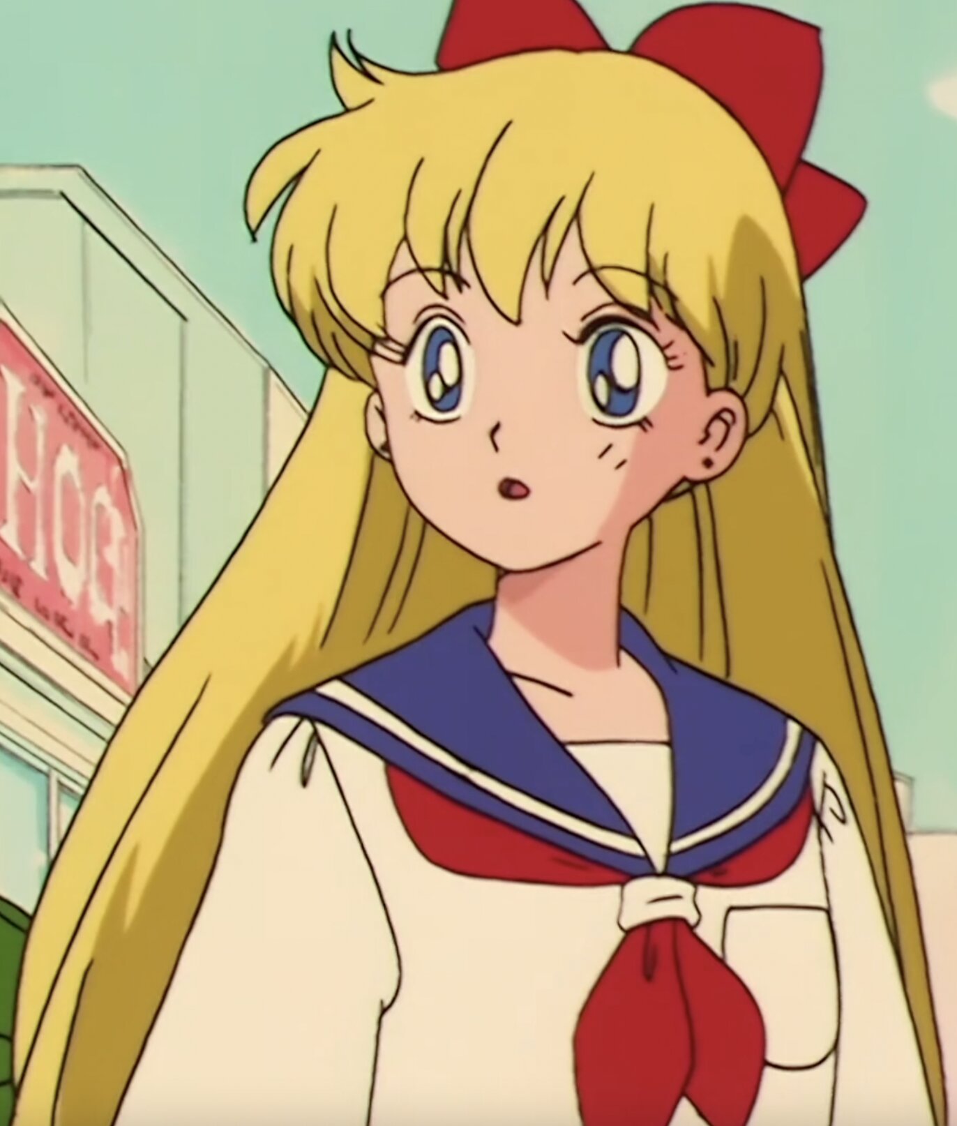 Minako Fox S Купить В Челябинске
