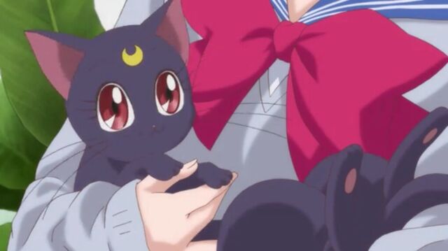 File:Ami holding Luna.jpeg