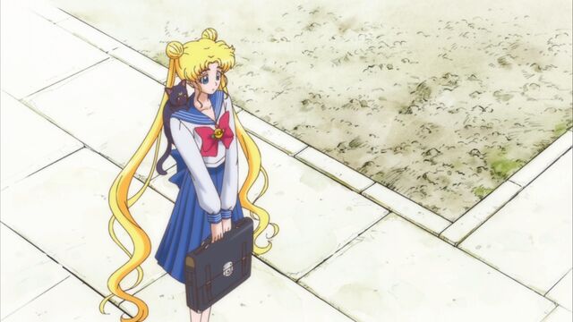 File:Usagi 25.jpg