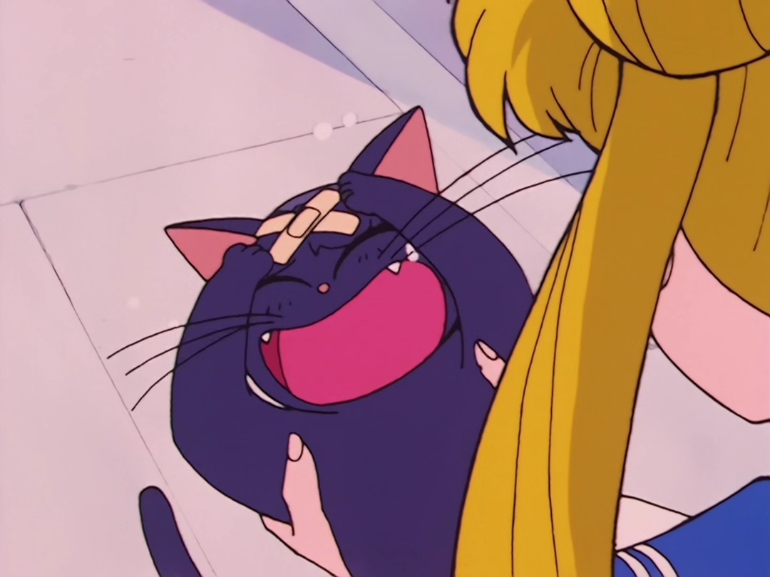 File:Sailor moon 01 luna freaking out with bandage on head.jpg