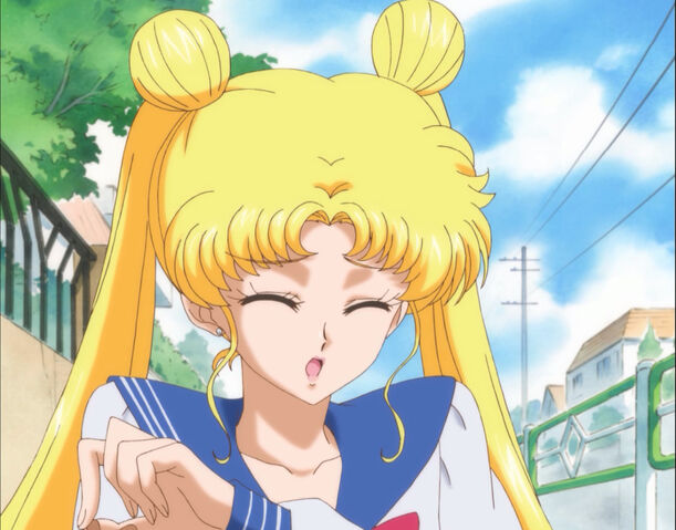 File:Usagi lunajump.jpg