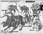 Shelter-buffalo.jpg
