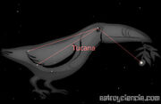 Figura-tucan.jpg