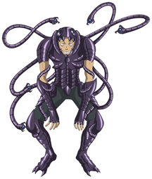 Worm raeimi