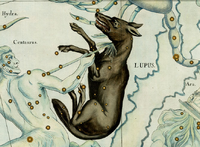 Wolf History