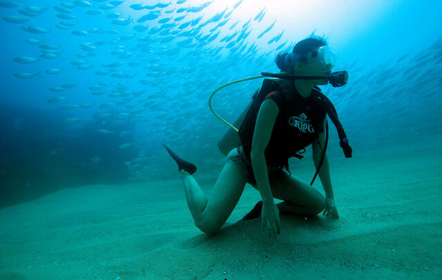 File:PacificDiver.jpg