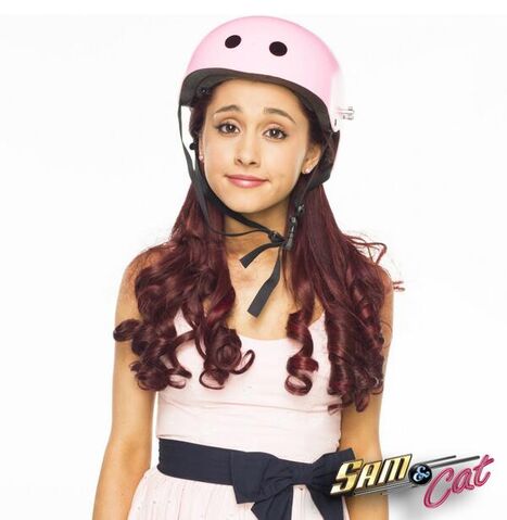File:Cat wearing a helmet.jpg