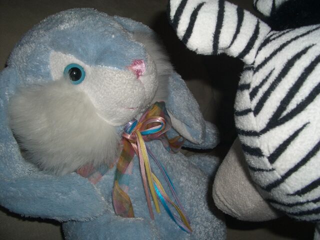 File:Bunny and Zebra.jpg