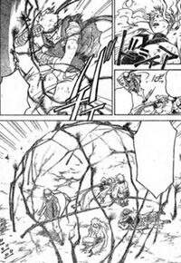 Hishigi magic barrier