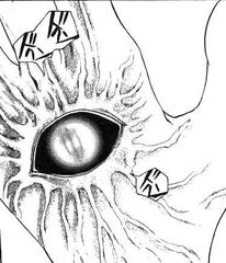 Medusa Eye011b