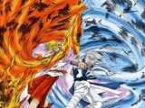 246167-luciole shinrei 03 super