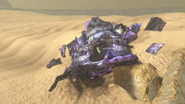 Seal's Phantom