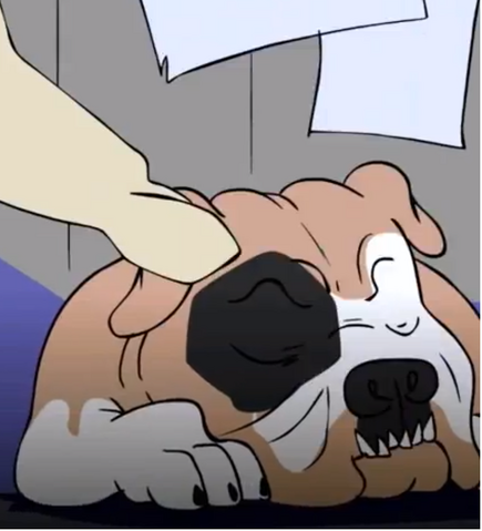 File:Hobo's dog.png