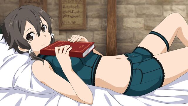 Datei:SAO-HR Galeriebild 52.jpg
