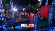 ANW6 Cat Grab