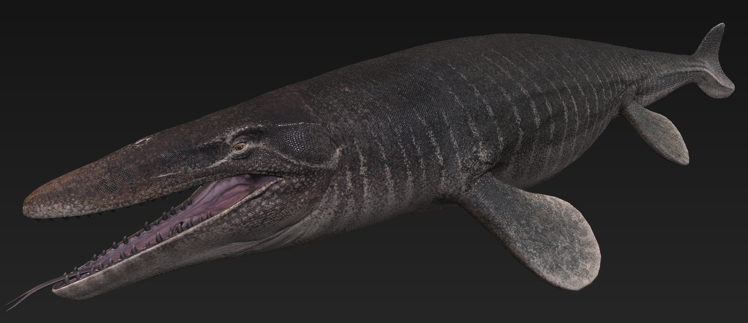 mosasaurus pnso