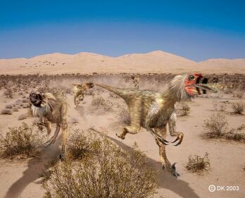 Velociraptor1