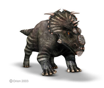 Pachyrhinosaur1