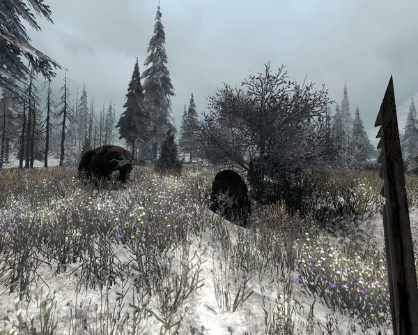 File:3 Dire Bear .jpg