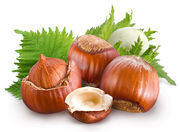 Huile-noisette-bio-leopold.jpg