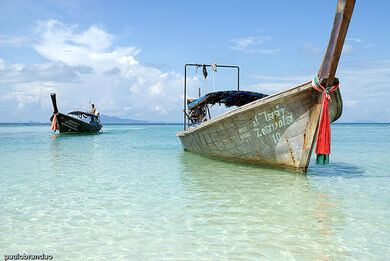 Phiphi don ☼