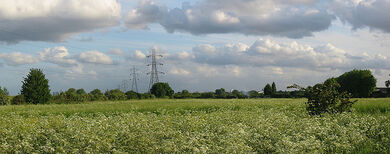 Tottenham Marshes, Haringey