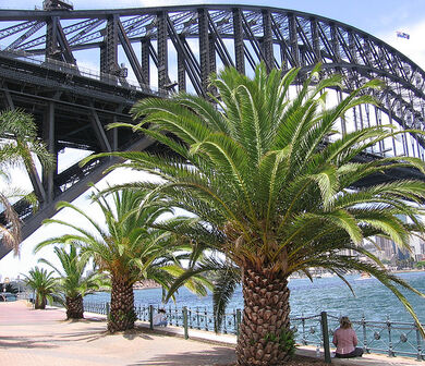 Harbour Bridge