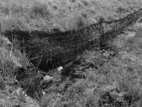 Cut peat