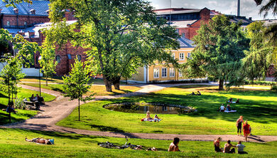Sunbathing in Sinebrychoff Park