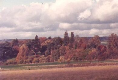 Autumn1