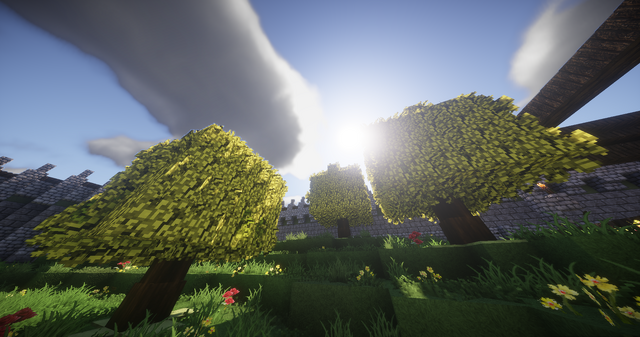 File:Strong oak.png