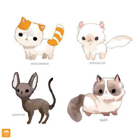File:AW CUTE.jpg