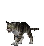Mog
