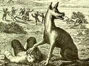 Gevaudan Monster.jpg