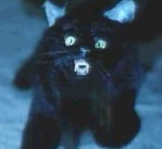 File:Mr kittles puppet.jpg