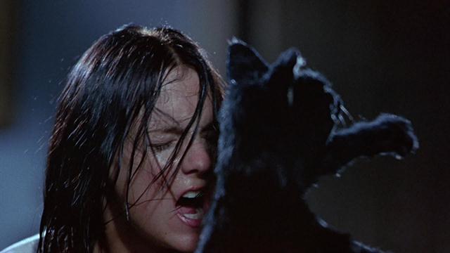 File:Cindy vs mr kittles.jpg