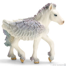Pegasus Foal