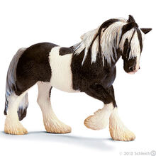 Tinker Mare