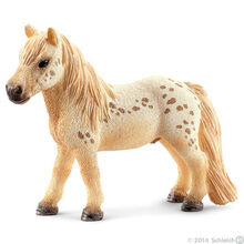 Falabella Gelding-0