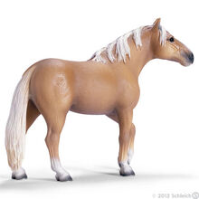 Palomino Stallion