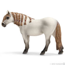 Andalusian Mare