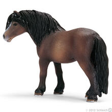 Dartmoor Mare