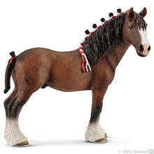 Clydesdale Gelding 2016
